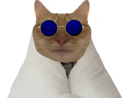 :Chat_Risicouette: