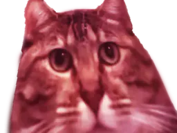:chatfdp: