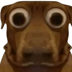 :teddivoyeur: