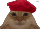 :baguette8: