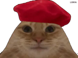 :baguette8:
