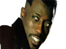 :blade_wesleu_snipes: