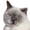 :Chat_AhuriKJ_: