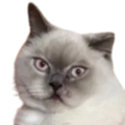 :Chat_AhuriKJ_: