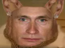 :bouh_poutine: