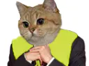 :GJChat:
