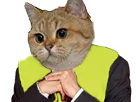 :GJChat: