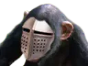 :Singe_2: