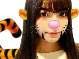 :tigrou: