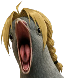 :Edward_pigeon_grande_bouche: