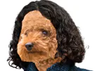 :manon_chien:
