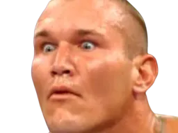 :randy_wtf: