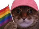 :chat_zoom_lgbt: