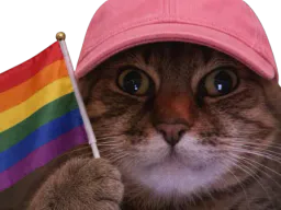 :chat_zoom_lgbt: