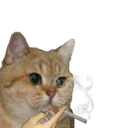 :Sodium_fume_main: