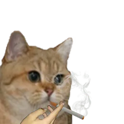 :Sodium_fume_main: