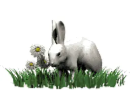 :lapinou: