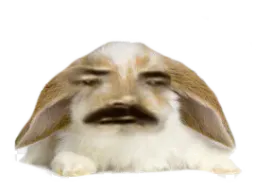 :LapinBelier: