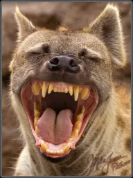 :Sourire_amical: