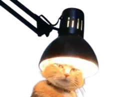:challume: