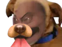 :Risidog: