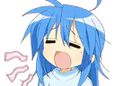 :Kona_baille:
