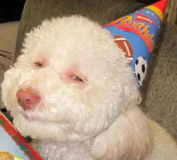 :Riley: