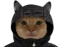 :capuche: