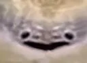 :RickyP: