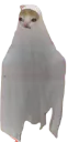 :chat_fantome: