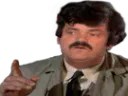 :Risidetective: