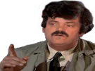 :Risidetective: