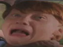 :ronp: