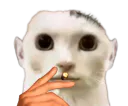 :ChommeFume: