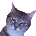 :Chat_mepris: