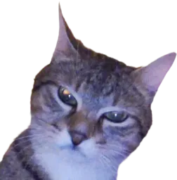 :Chat_mepris: