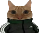 :chadidas: