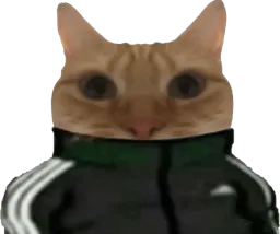 :chadidas: