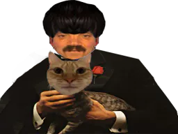:parrain_chat: