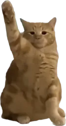:Chadolf_H: