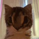 :eh_: