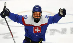 :Hockey2: