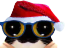 :chat_lunettes_noel: