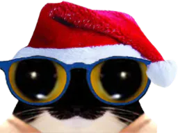 :chat_lunettes_noel: