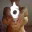Photo de profil de MrMouche