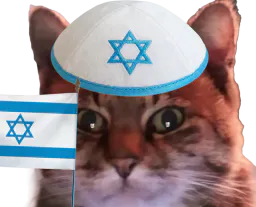 :ChatZoomIsrael: