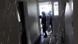 :gign_gif: