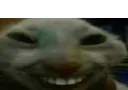 :xdd: