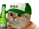 :Sodium_rsa: