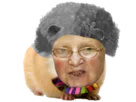 :Hamster_vieille: